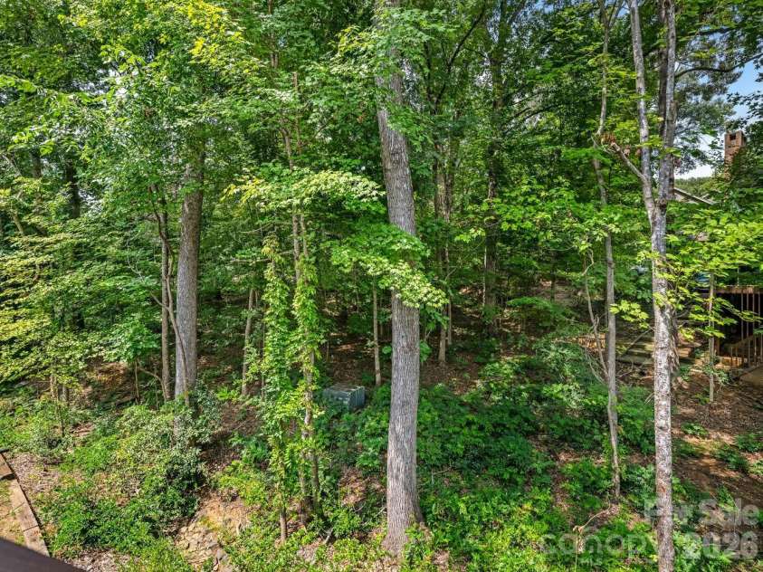 6504 Racquet Wood Court, Charlotte, NC 28226.  MLS# CAR4419127, YatesRealty ID 47601. View from the deck