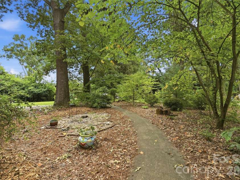 4819 Carousel Drive, Charlotte, NC 28212.  MLS# CAR4419426, YatesRealty ID 47628. Nature walk
