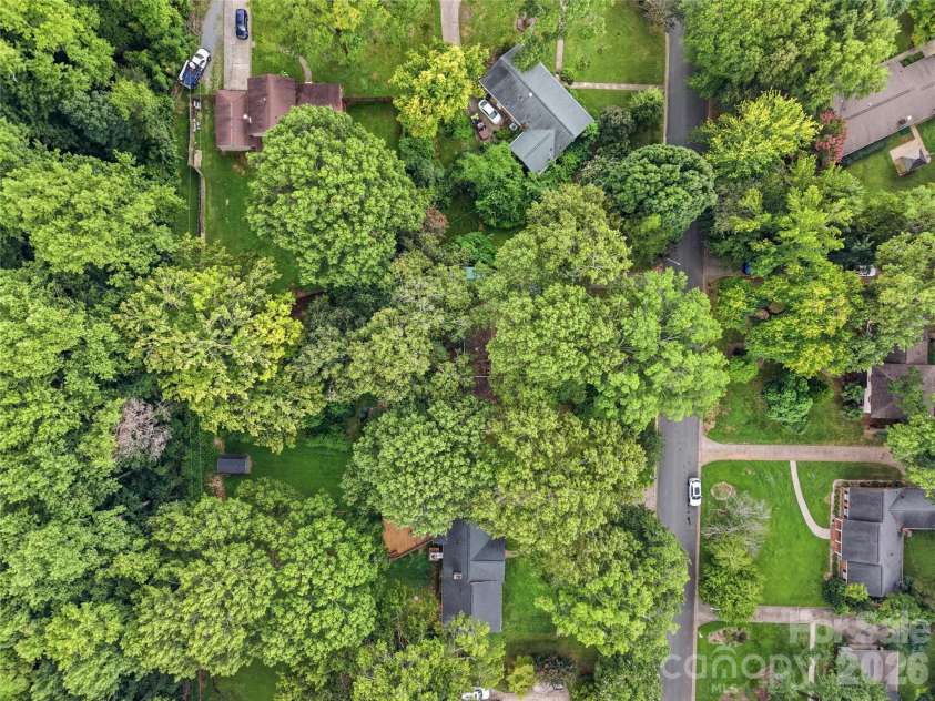 4819 Carousel Drive, Charlotte, NC 28212.  MLS# CAR4419426, YatesRealty ID 47628. Trees!