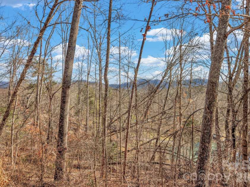 30 Pinners Cove Road, Asheville, NC 28803.  MLS# CAR4419302, YatesRealty ID 47636. 