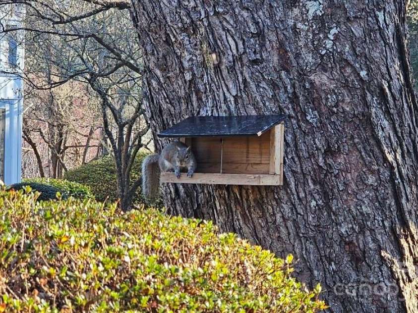 153 Ewbank Garden Drive, Hendersonville, NC 28791.  MLS# CAR4228838, YatesRealty ID 4764. Squirrel shelter