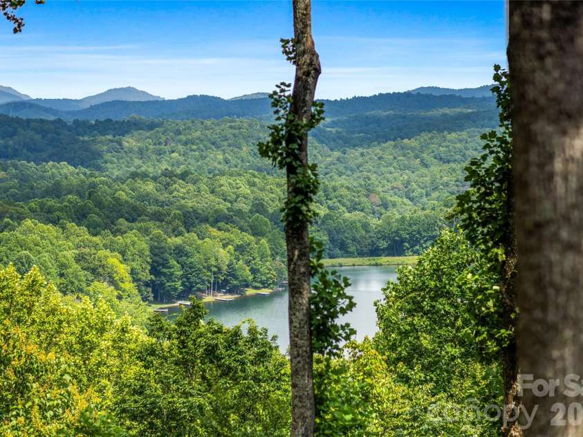 600 Tanglewood Lane, Saluda, NC 28773.  MLS# CAR4417880, YatesRealty ID 47665. 