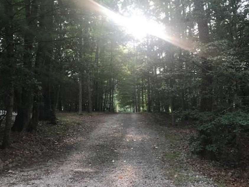 57 Sleepy Gap Road, Arden, NC 28704.  MLS# CAR4419369, YatesRealty ID 47685. 