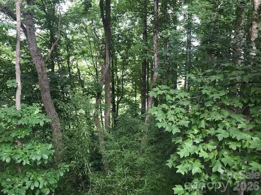 57 Sleepy Gap Road, Arden, NC 28704.  MLS# CAR4419369, YatesRealty ID 47685. 