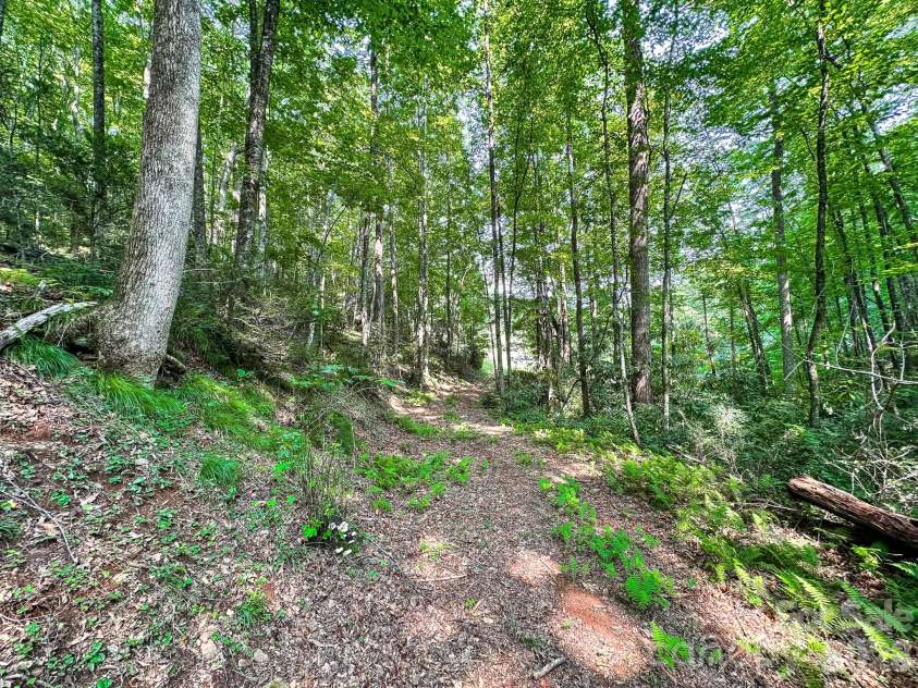 82 Trout Haven Lane, Balsam Grove, NC 28708.  MLS# CAR4408892, YatesRealty ID 47709. 