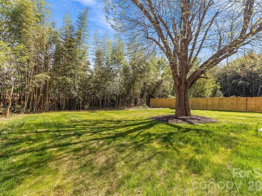 1344 Richland Drive, Charlotte, NC 28211.  MLS# CAR4411343, YatesRealty ID 47718. 