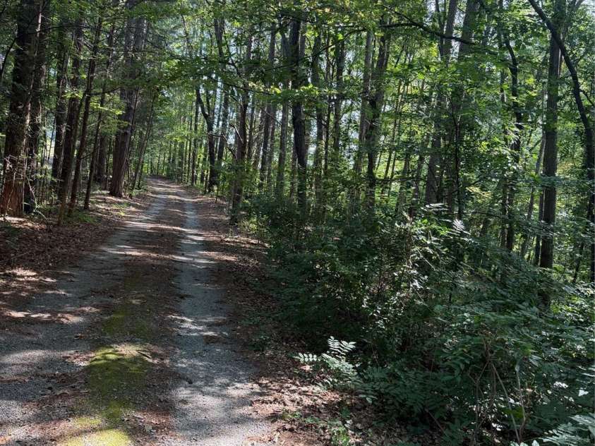 202 Horseshoe Lake Road, Mount Holly, NC 28120.  MLS# CAR4413263, YatesRealty ID 47780. 