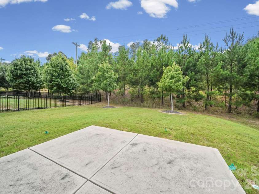 7203 Chrysanthemum Road, Lancaster, SC 29720.  MLS# CAR4418490, YatesRealty ID 47799. Treeline behind home