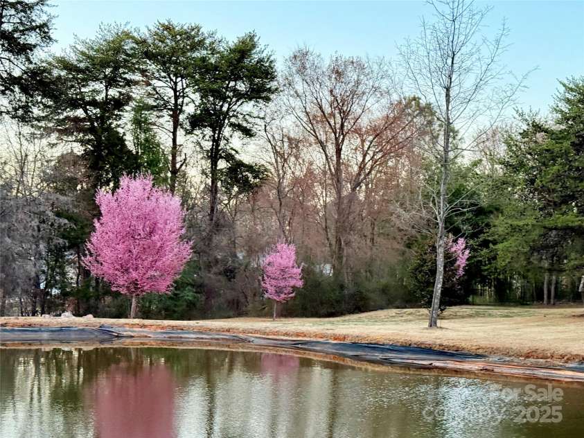 20711 Bethel Church Road, Cornelius, NC 28031.  MLS# CAR4225782, YatesRealty ID 478. Pond with fountain