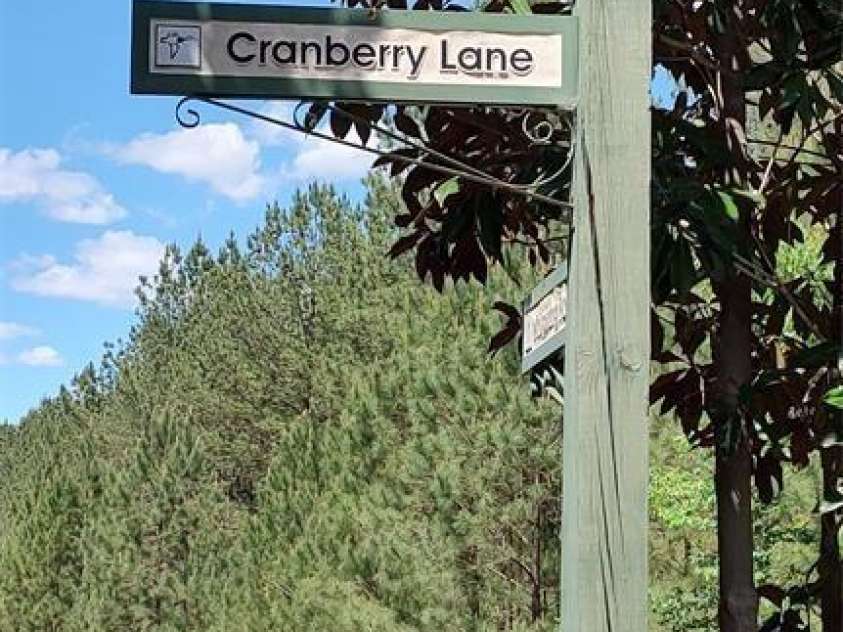 105 Cranberry Lane, Mooresboro, NC 28114.  MLS# CAR4313319, YatesRealty ID 479. 