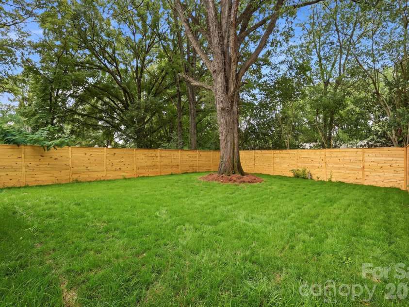 4538 Craig Avenue, Charlotte, NC 28211.  MLS# CAR4417719, YatesRealty ID 48088. Backyard