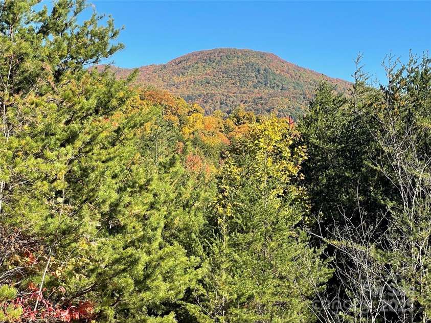 00 Birkdale Drive, Mill Spring, NC 28756.  MLS# CAR4197353, YatesRealty ID 481. 