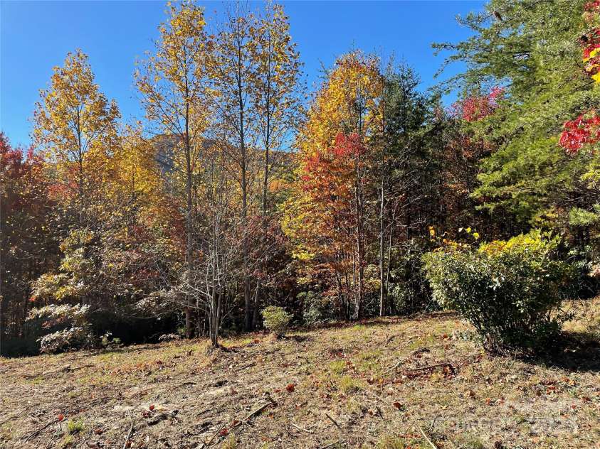 00 Birkdale Drive, Mill Spring, NC 28756.  MLS# CAR4197353, YatesRealty ID 481. 