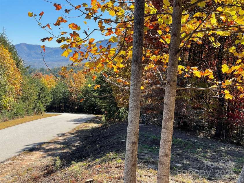 00 Birkdale Drive, Mill Spring, NC 28756.  MLS# CAR4197353, YatesRealty ID 481. 