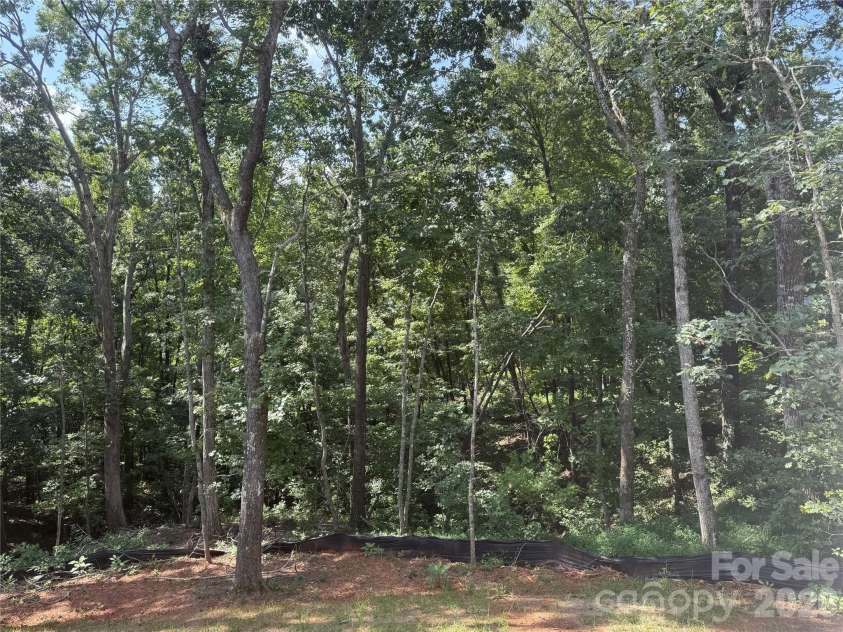 436 Dublin Lane, Columbus, NC 28722.  MLS# CAR4420014, YatesRealty ID 48127. 