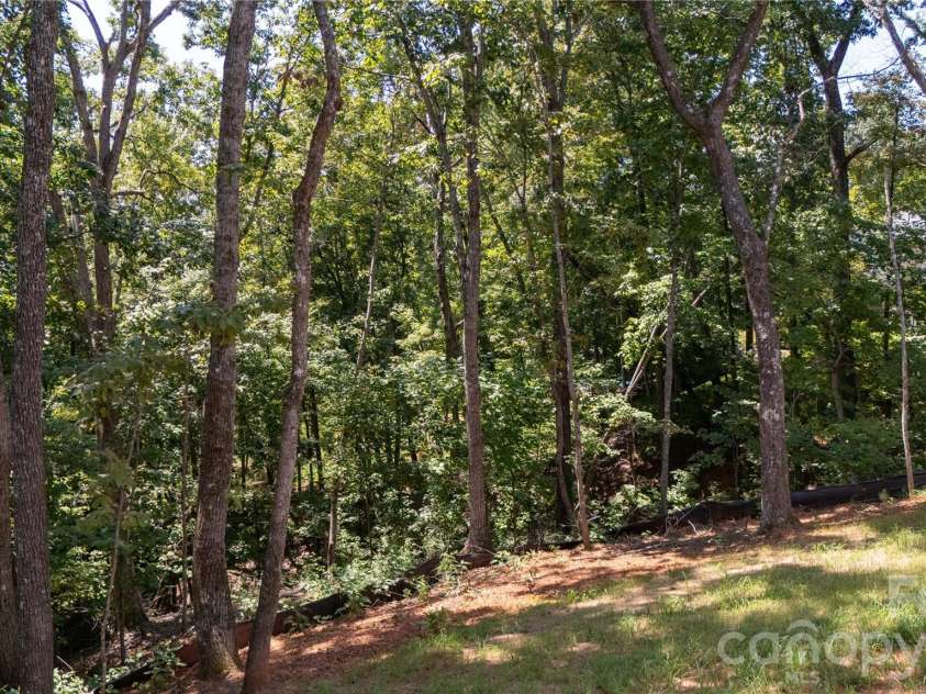 436 Dublin Lane, Columbus, NC 28722.  MLS# CAR4420014, YatesRealty ID 48127. 
