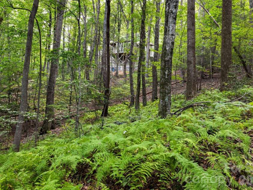 22 Wild Violet Lane, Arden, NC 28704.  MLS# CAR4420255, YatesRealty ID 48214. 