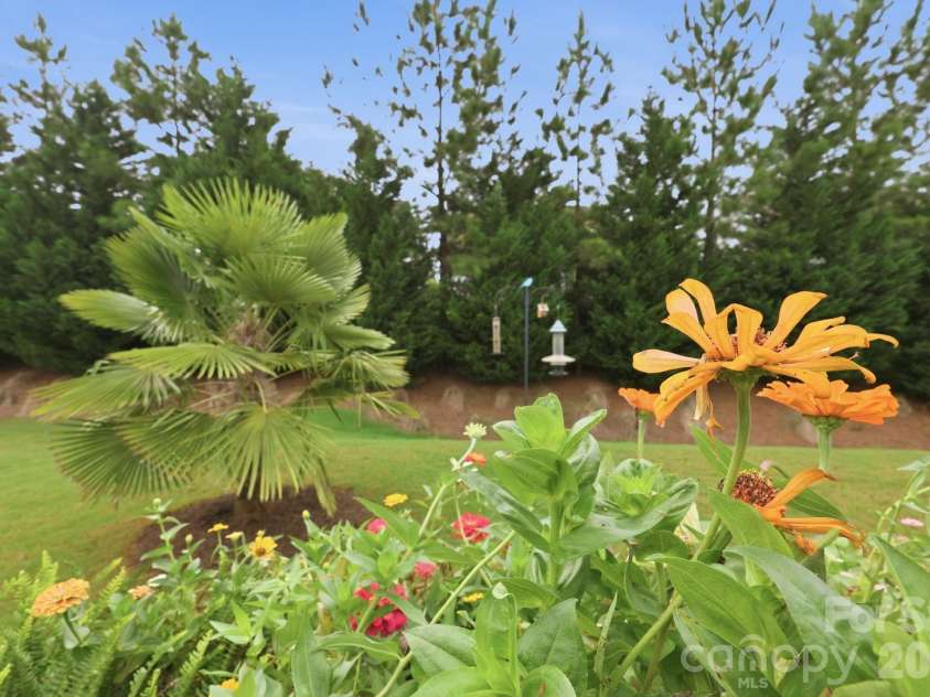 7106 Overjoyed Crossing, Charlotte, NC 28215.  MLS# CAR4417252, YatesRealty ID 48236. 