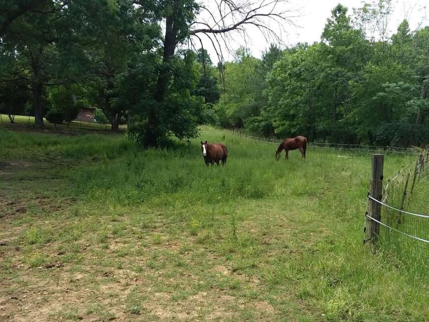 1753 Smith Farm Road, Lexington, NC 27292.  MLS# CAR4420609, YatesRealty ID 48238. 