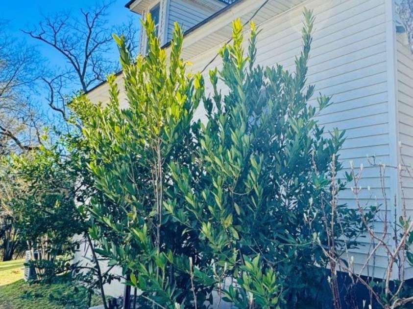 149 Crescent Drive, Chesterfield, SC 29709.  MLS# CAR4233755, YatesRealty ID 4825. 