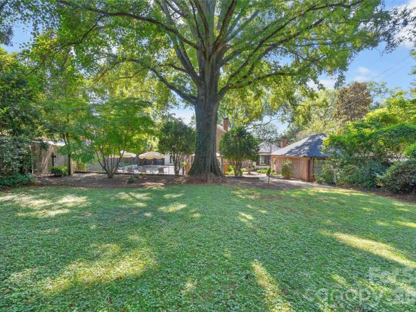 1838 Wendover Road, Charlotte, NC 28211.  MLS# CAR4420286, YatesRealty ID 48313. Rear yard