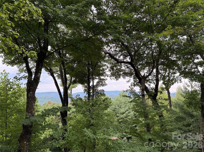 142 Fawn Lane, Purlear, NC 28665.  MLS# CAR4420826, YatesRealty ID 48401. View from Back Porch