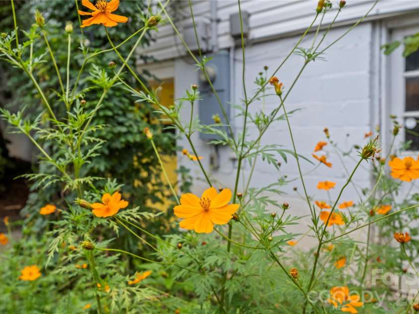 2 Bostic Place, Asheville, NC 28803.  MLS# CAR4419332, YatesRealty ID 48464. 