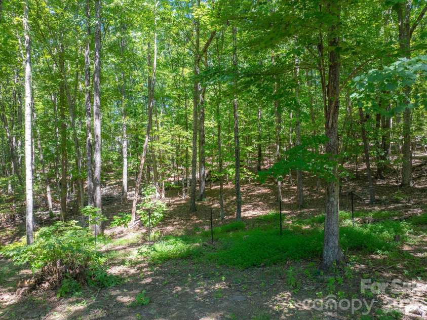 257 Adirondack Trail, Nebo, NC 28761.  MLS# CAR4418359, YatesRealty ID 48489. 