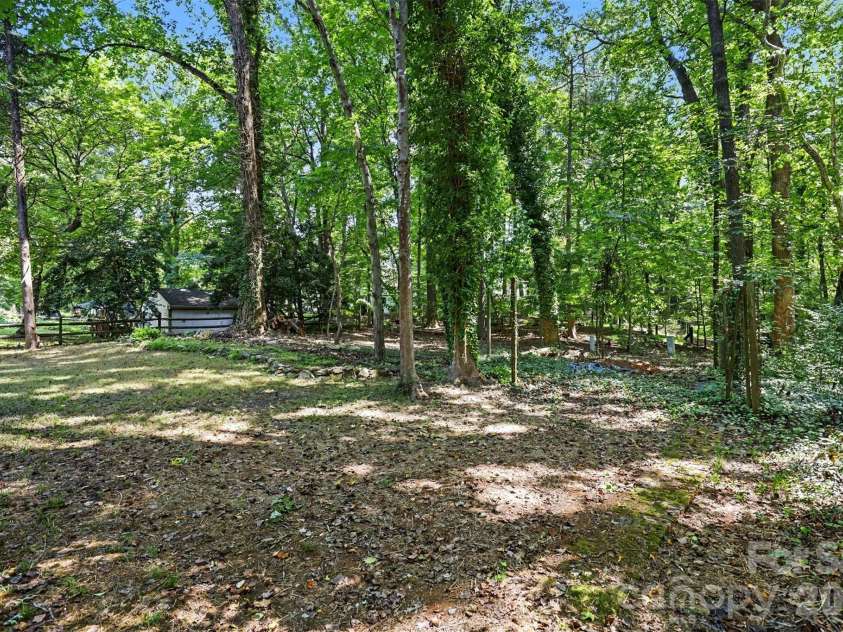 3140 Piney Grove Road, Charlotte, NC 28212.  MLS# CAR4419986, YatesRealty ID 48523. Backyard