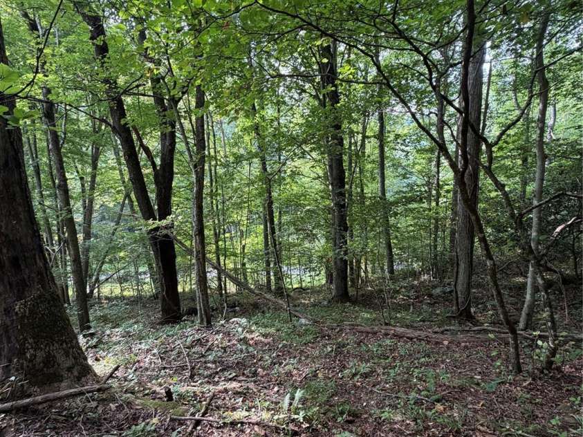 92 Silas Branch Road, Burnsville, NC 28714.  MLS# CAR4419913, YatesRealty ID 48576. 