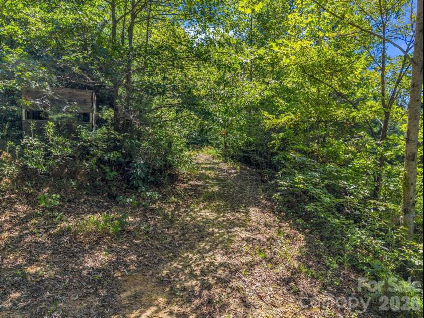 557 Sutton Mountain Ridge, Pisgah Forest, NC 28768.  MLS# CAR4419858, YatesRealty ID 48759. 