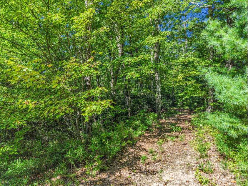 557 Sutton Mountain Ridge, Pisgah Forest, NC 28768.  MLS# CAR4419858, YatesRealty ID 48759. 