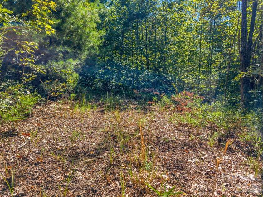 557 Sutton Mountain Ridge, Pisgah Forest, NC 28768.  MLS# CAR4419858, YatesRealty ID 48759. 