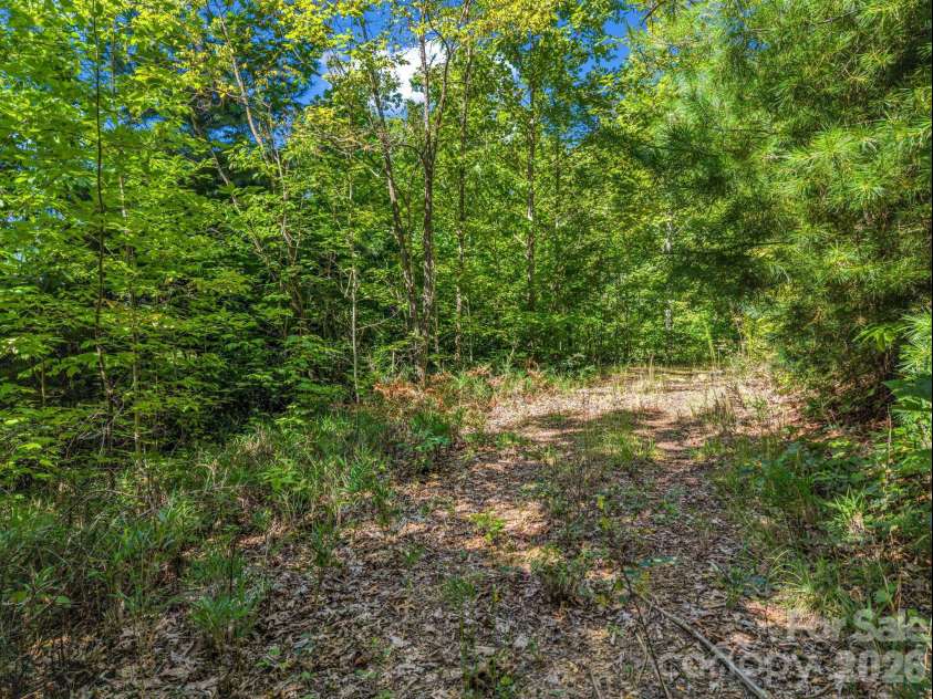 557 Sutton Mountain Ridge, Pisgah Forest, NC 28768.  MLS# CAR4419858, YatesRealty ID 48759. 
