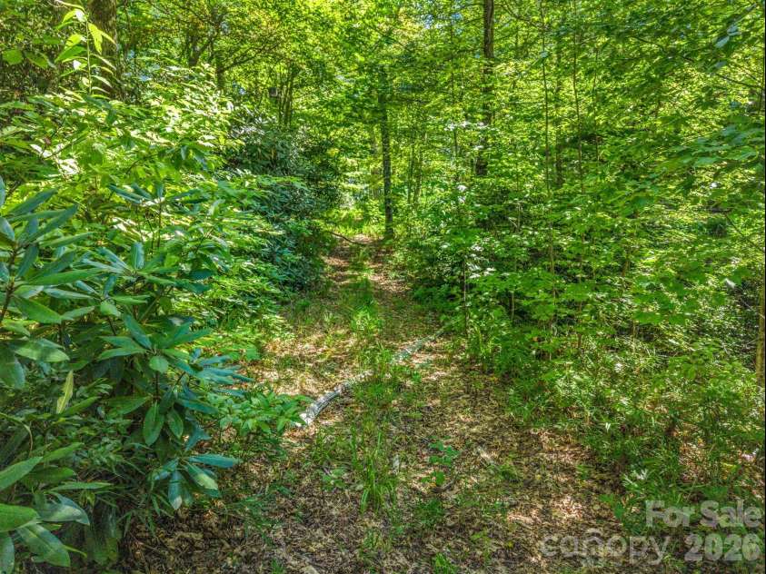 557 Sutton Mountain Ridge, Pisgah Forest, NC 28768.  MLS# CAR4419858, YatesRealty ID 48759. 