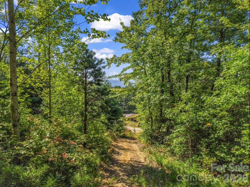 557 Sutton Mountain Ridge, Pisgah Forest, NC 28768.  MLS# CAR4419858, YatesRealty ID 48759. Ridge Top of Property w/Long Range Mountain Views