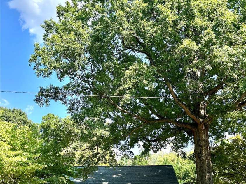 2255 Falmouth Road, Charlotte, NC 28205.  MLS# CAR4421108, YatesRealty ID 48764. 