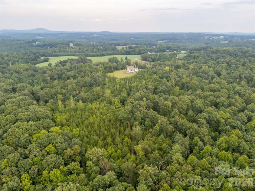 4013 NC Hwy 18 Highway, Vale, NC 28090.  MLS# CAR4417782, YatesRealty ID 48781. Timber Stand