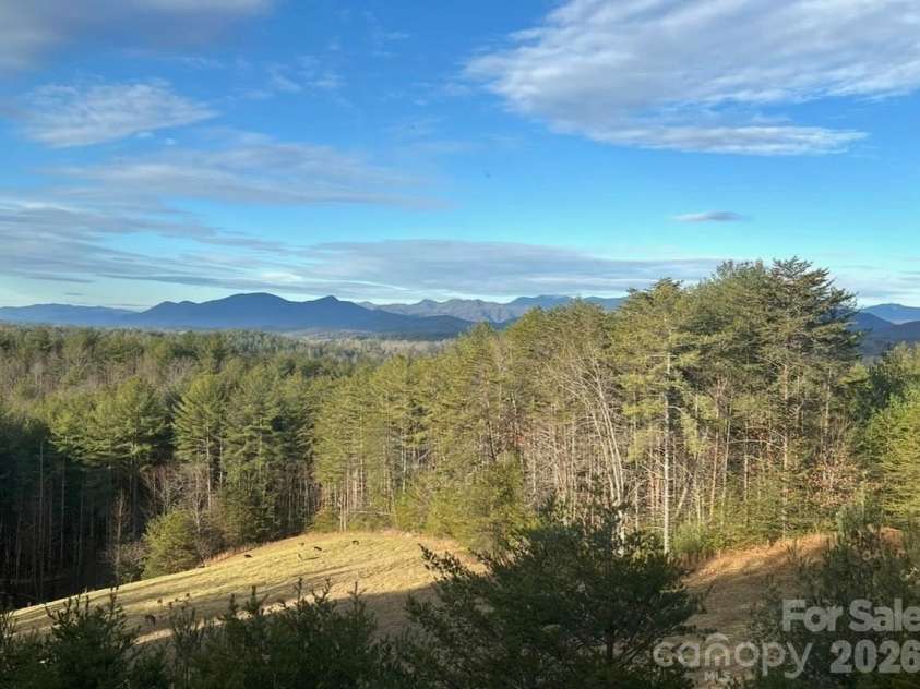 2775 Campbells Trace, Nebo, NC 28761.  MLS# CAR4421386, YatesRealty ID 48815. 