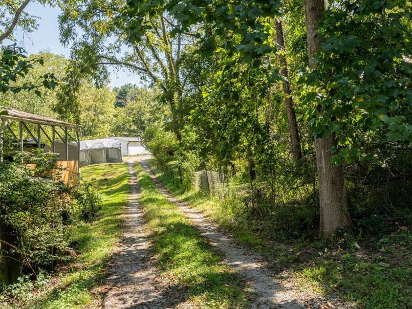 26 Audrey Lane, Asheville, NC 28806.  MLS# CAR4421510, YatesRealty ID 48827. View from house down driveway