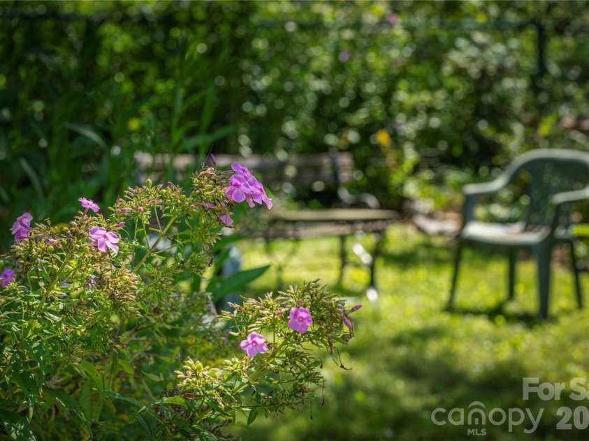 29 Hillside Street, Asheville, NC 28801.  MLS# CAR4416247, YatesRealty ID 48834. Back Yard