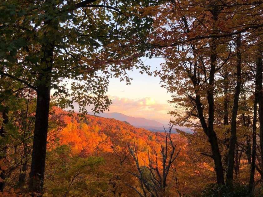 10 Camp Elliott Road, Black Mountain, NC 28711.  MLS# CAR4421451, YatesRealty ID 48839. 