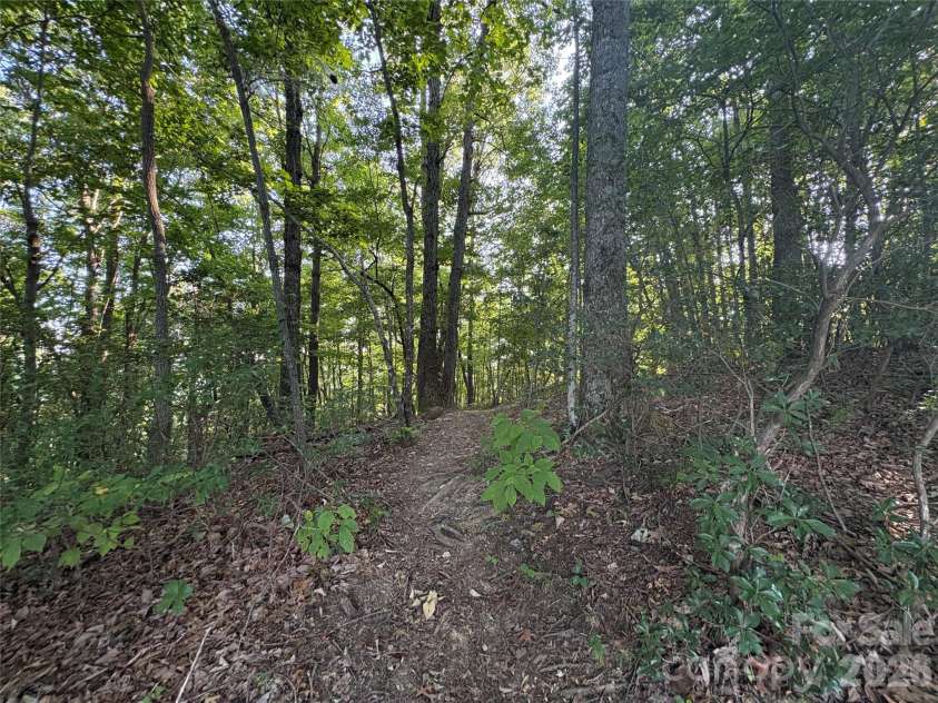 10 Camp Elliott Road, Black Mountain, NC 28711.  MLS# CAR4421451, YatesRealty ID 48839. 