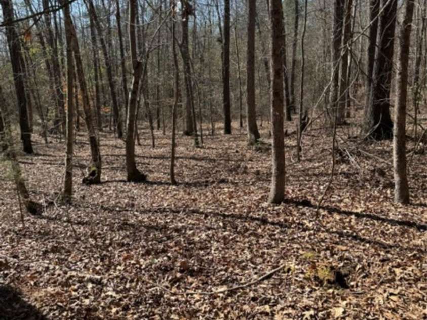7155 Hwy 74 Highway, Lilesville, NC 28091.  MLS# CAR4420691, YatesRealty ID 48978. 