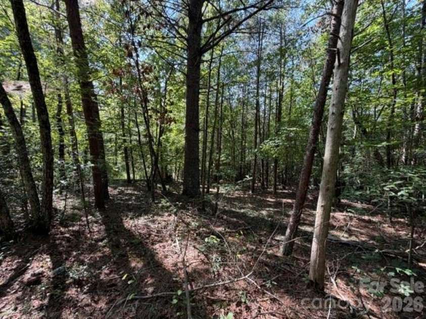 3205 Oran Yount Lane, Granite Falls, NC 28630.  MLS# CAR4421889, YatesRealty ID 48984. 
