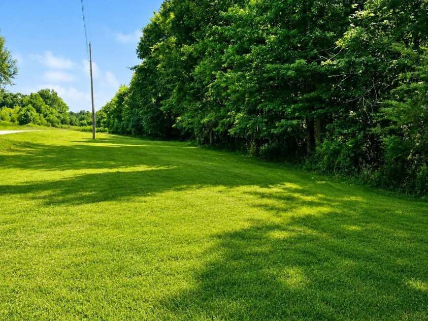 3233 Hahn Scott Road, Mount Pleasant, NC 28124.  MLS# CAR4421971, YatesRealty ID 49027. Private Tree line for property
