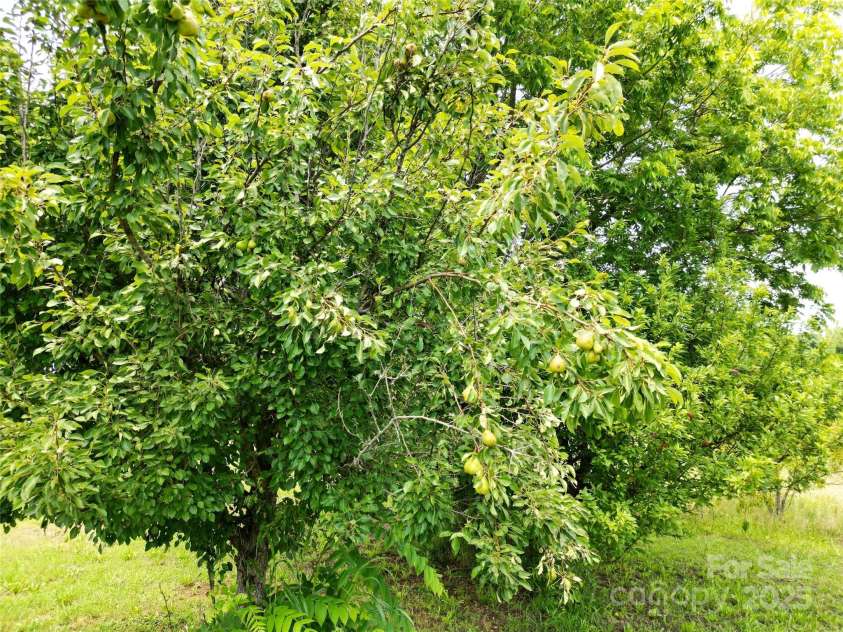 843 Upper White Store Road, Peachland, NC 28133.  MLS# CAR4269123, YatesRealty ID 4907. 