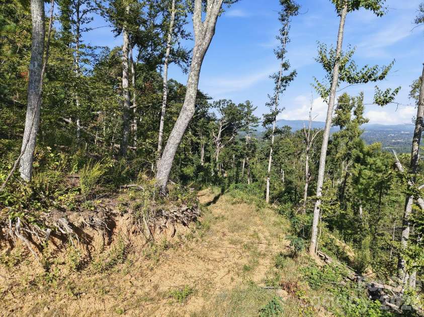 270 Upper Herron Cove Road, Weaverville, NC 28787.  MLS# CAR4418748, YatesRealty ID 49079. Additional property