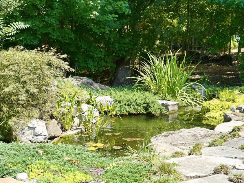 1206 Delaney Drive, Weddington, NC 28104.  MLS# CAR4421166, YatesRealty ID 49098. Backyard featuring Water Feature w/ Koi pond & wooded privacy