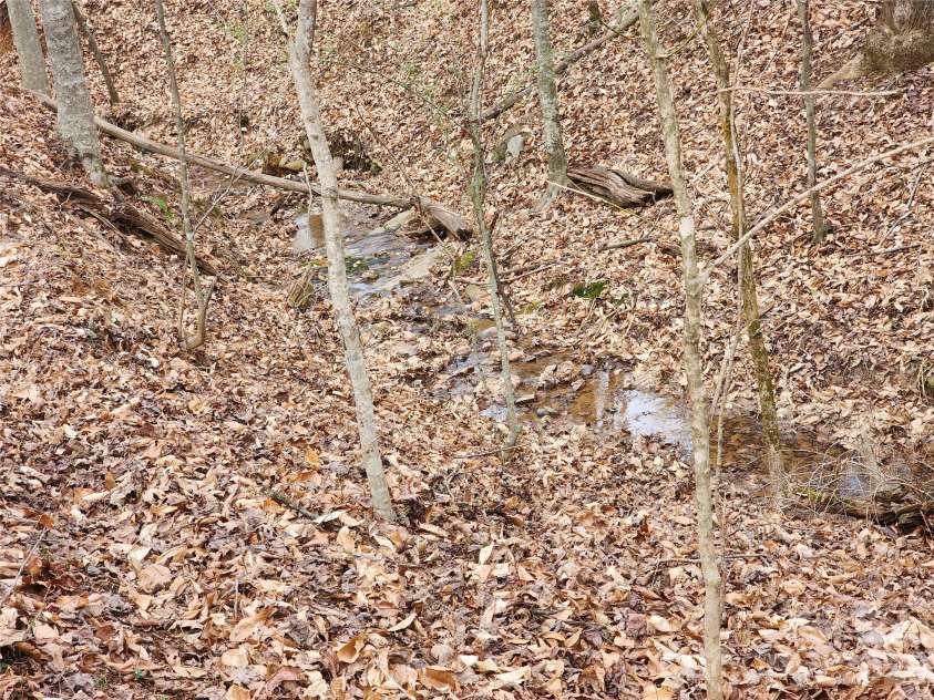 865 Armory Road, North Wilkesboro, NC 28659.  MLS# CAR4336066, YatesRealty ID 4911. 